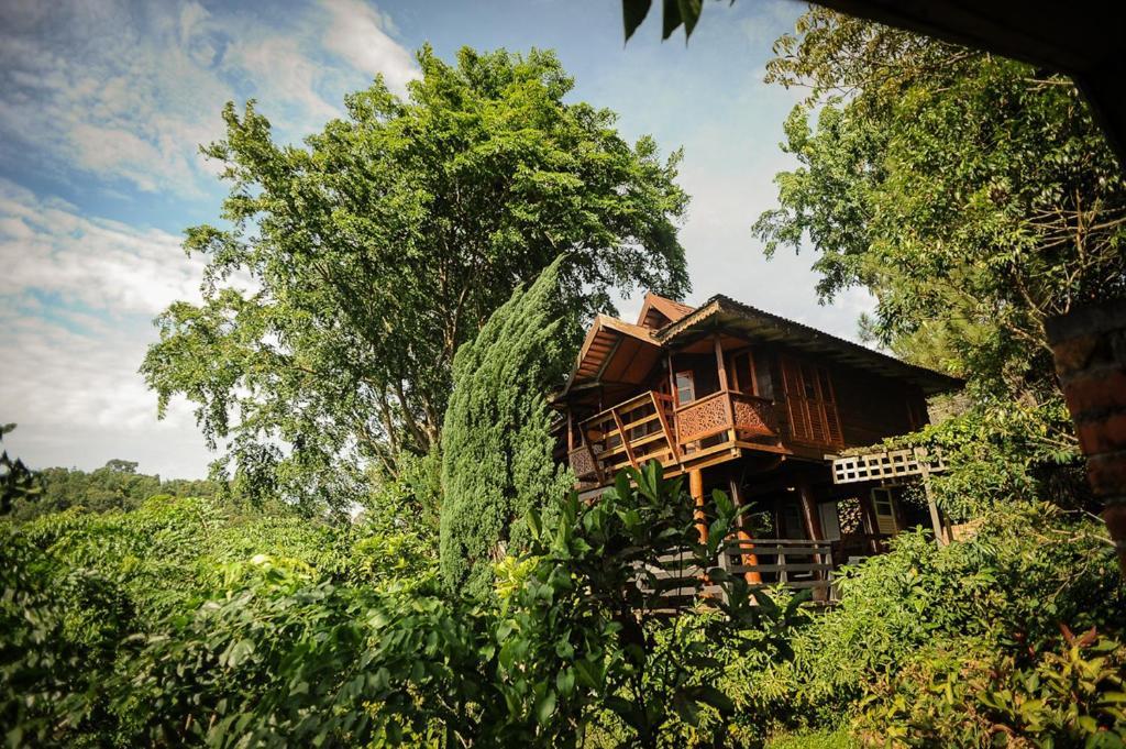 MaliHom Private Estate Villa Balik Pulau Exterior foto